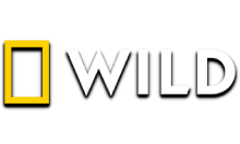 National Geographic Wild HD [PL]