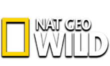 National Geographic Wild HD [TR]