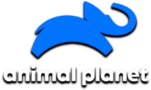 Animal Planet HD [IL]