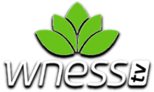 Wness TV [BG]