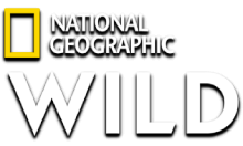 National Geographic Wild HD [NL]