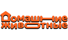 Домашние животные