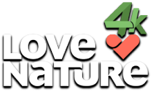 Love Nature 4K