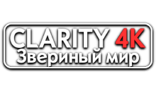 Clarity4K Звериный мир