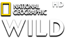 National Geographic Wild HD