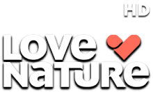Love Nature HD